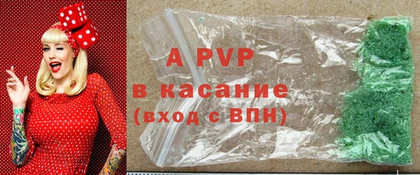 apvp Бородино